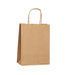 Paper Bag, Twist Handle, Heavy Duty, Small